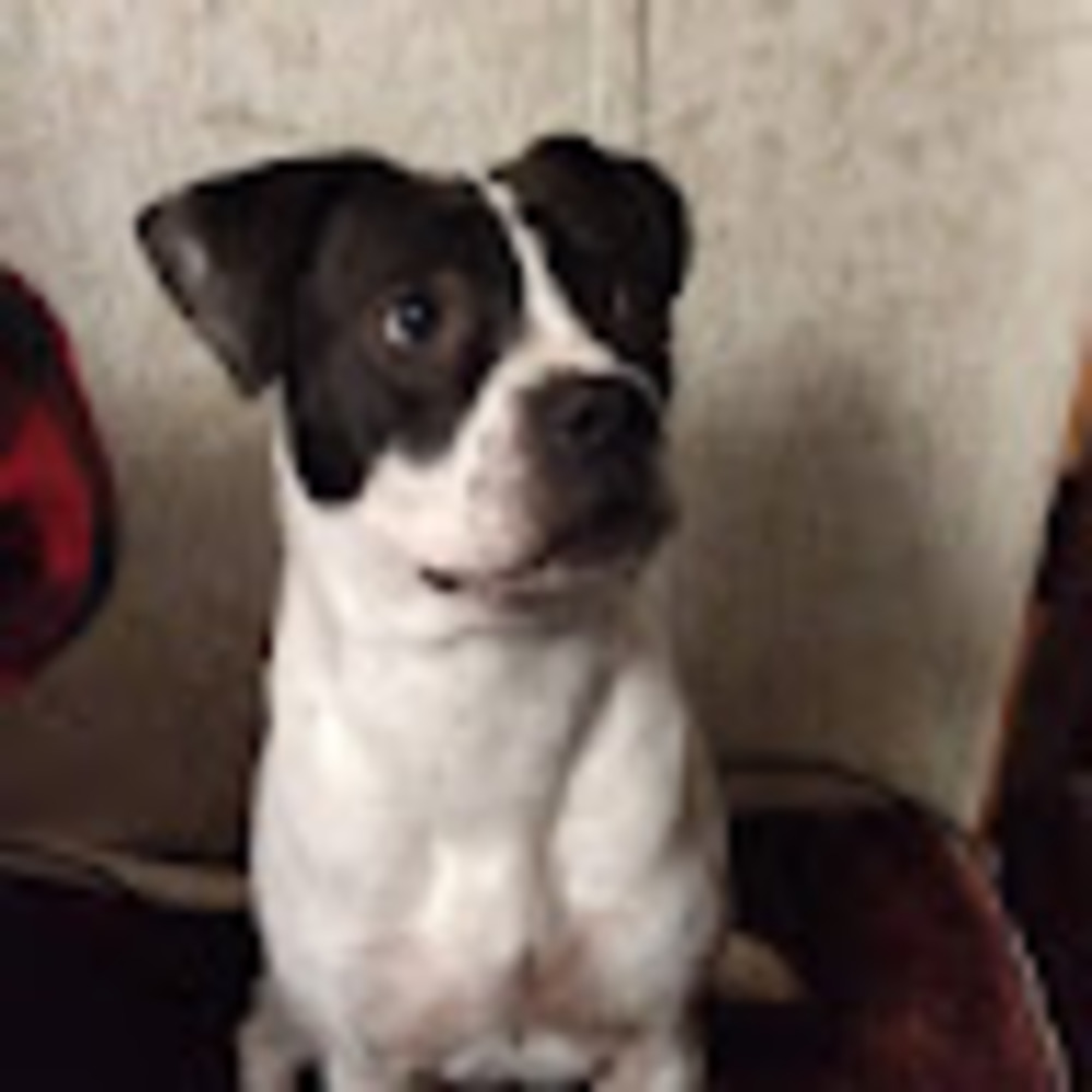 Meet your Posher, Jada